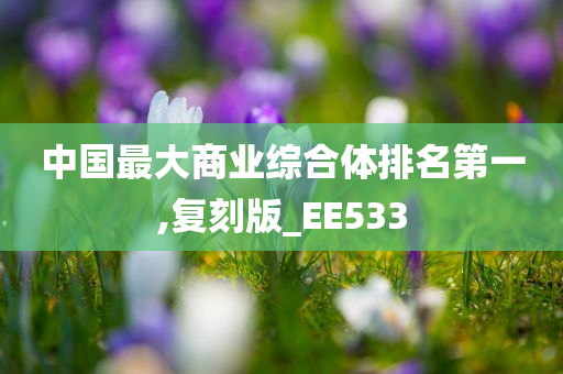 中国最大商业综合体排名第一,复刻版_EE533