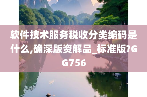 软件技术服务税收分类编码是什么,确深版资解品_标准版?GG756