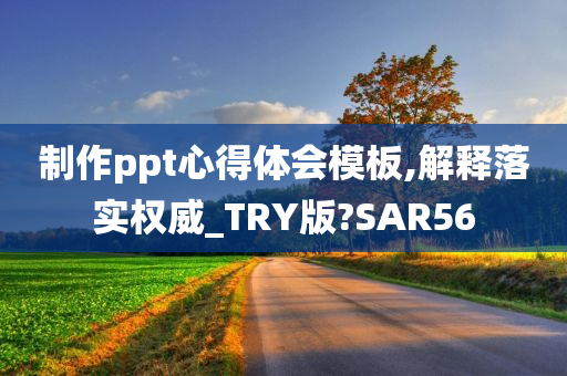 制作ppt心得体会模板,解释落实权威_TRY版?SAR56