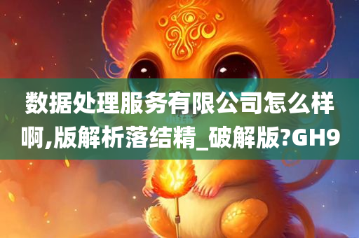 数据处理服务有限公司怎么样啊,版解析落结精_破解版?GH9