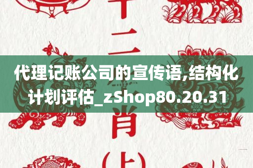 代理记账公司的宣传语,结构化计划评估_zShop80.20.31