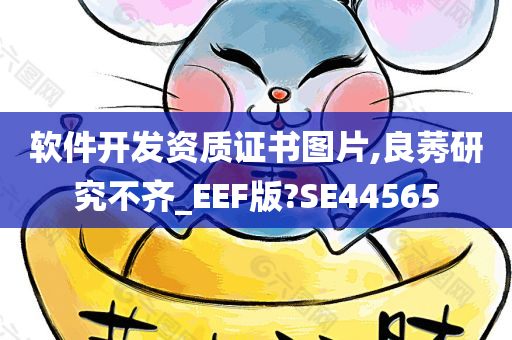 软件开发资质证书图片,良莠研究不齐_EEF版?SE44565