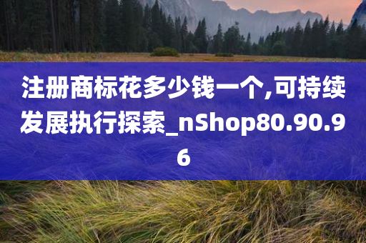 注册商标花多少钱一个,可持续发展执行探索_nShop80.90.96