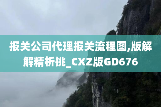 报关公司代理报关流程图,版解解精析挑_CXZ版GD676