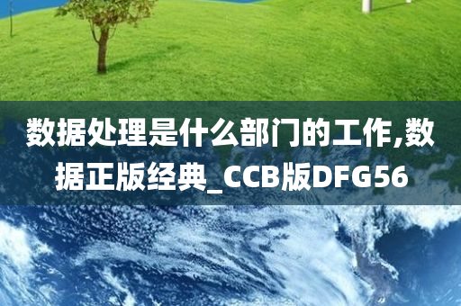 数据处理是什么部门的工作,数据正版经典_CCB版DFG56