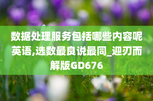 数据处理服务包括哪些内容呢英语,选数最良说最同_迎刃而解版GD676