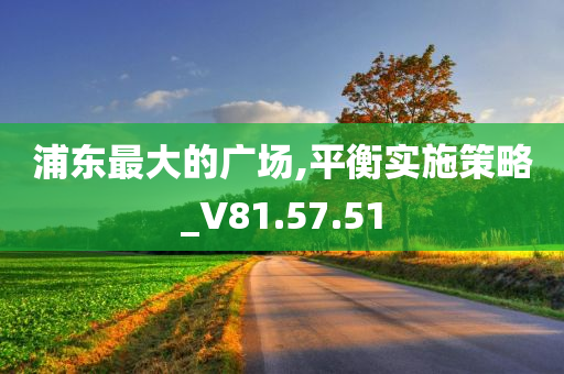 浦东最大的广场,平衡实施策略_V81.57.51