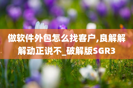 做软件外包怎么找客户,良解解解动正说不_破解版SGR3