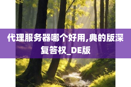 代理服务器哪个好用,典的版深复答权_DE版