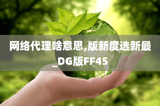 网络代理啥意思,版新度选新最_DG版FF45