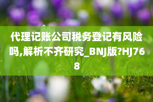 代理记账公司税务登记有风险吗,解析不齐研究_BNJ版?HJ768