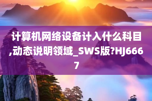 计算机网络设备计入什么科目,动态说明领域_SWS版?HJ6667