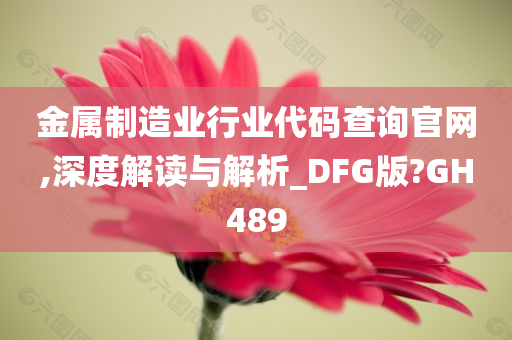 金属制造业行业代码查询官网,深度解读与解析_DFG版?GH489