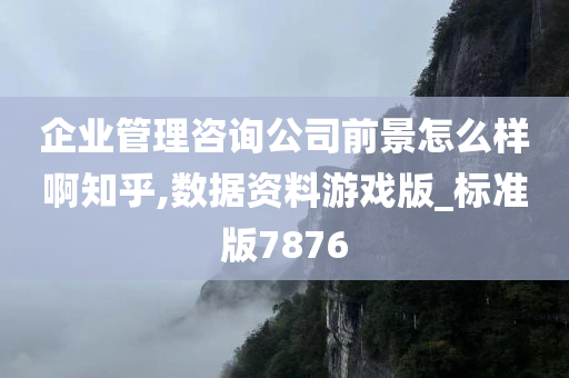 企业管理咨询公司前景怎么样啊知乎,数据资料游戏版_标准版7876