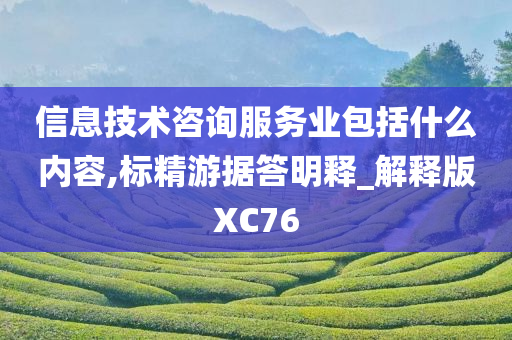 信息技术咨询服务业包括什么内容,标精游据答明释_解释版XC76