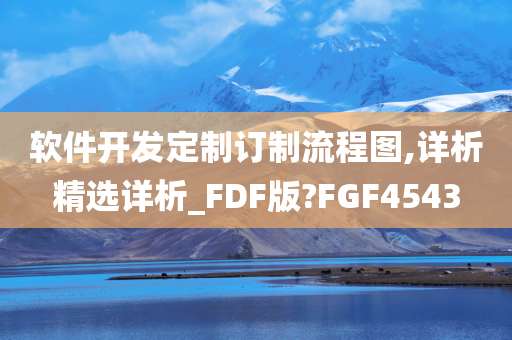 软件开发定制订制流程图,详析精选详析_FDF版?FGF4543