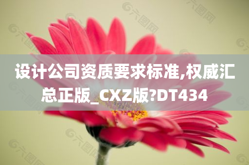 设计公司资质要求标准,权威汇总正版_CXZ版?DT434