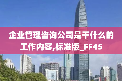 企业管理咨询公司是干什么的工作内容,标准版_FF45