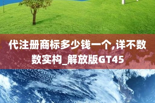 代注册商标多少钱一个,详不数数实构_解放版GT45