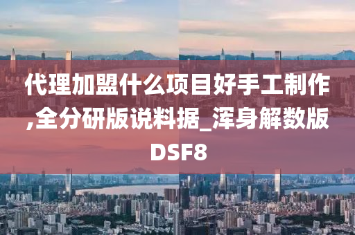 代理加盟什么项目好手工制作,全分研版说料据_浑身解数版DSF8