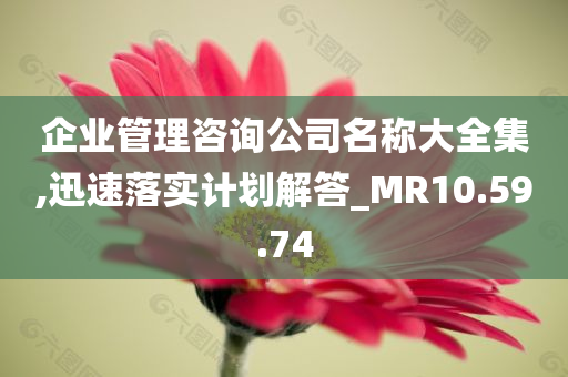 企业管理咨询公司名称大全集,迅速落实计划解答_MR10.59.74