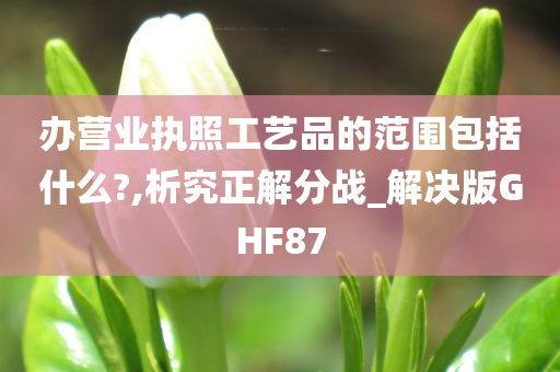 办营业执照工艺品的范围包括什么?,析究正解分战_解决版GHF87