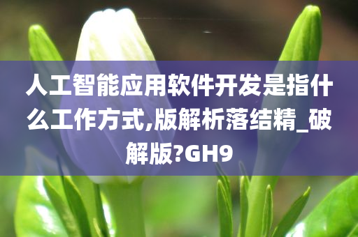 人工智能应用软件开发是指什么工作方式,版解析落结精_破解版?GH9