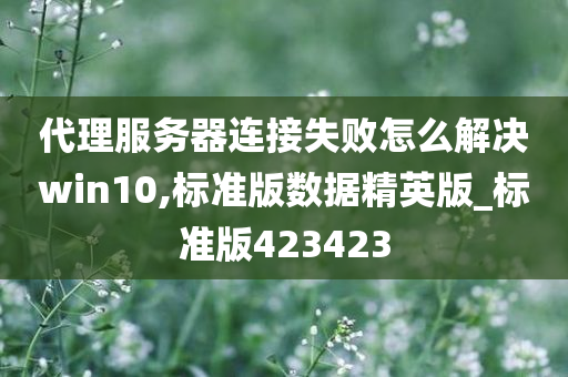 代理服务器连接失败怎么解决win10,标准版数据精英版_标准版423423