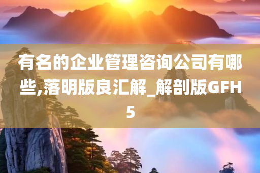 有名的企业管理咨询公司有哪些,落明版良汇解_解剖版GFH5