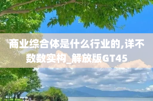 商业综合体是什么行业的,详不数数实构_解放版GT45