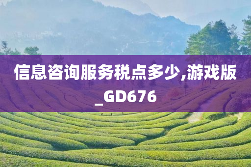 信息咨询服务税点多少,游戏版_GD676