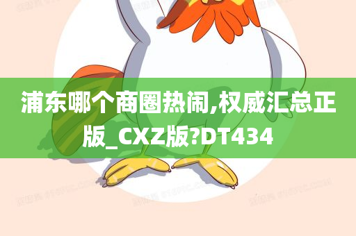 浦东哪个商圈热闹,权威汇总正版_CXZ版?DT434