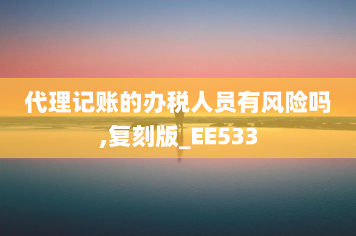 代理记账的办税人员有风险吗,复刻版_EE533