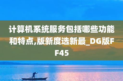 计算机系统服务包括哪些功能和特点,版新度选新最_DG版FF45