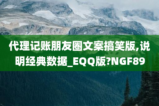 代理记账朋友圈文案搞笑版,说明经典数据_EQQ版?NGF89