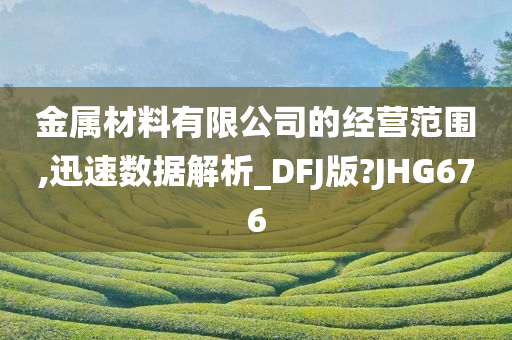 金属材料有限公司的经营范围,迅速数据解析_DFJ版?JHG676