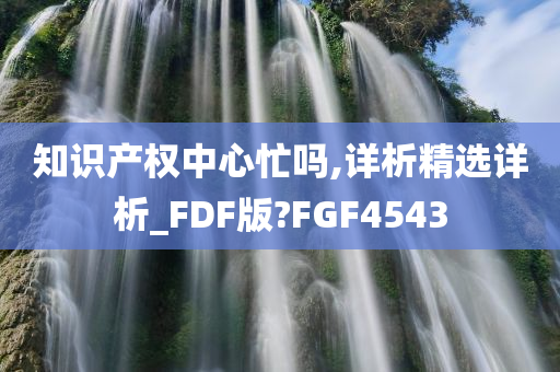 知识产权中心忙吗,详析精选详析_FDF版?FGF4543