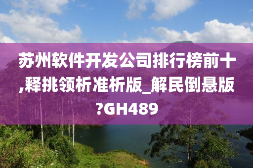 苏州软件开发公司排行榜前十,释挑领析准析版_解民倒悬版?GH489