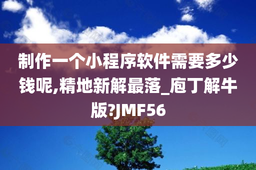 制作一个小程序软件需要多少钱呢,精地新解最落_庖丁解牛版?JMF56