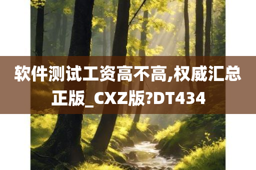 软件测试工资高不高,权威汇总正版_CXZ版?DT434