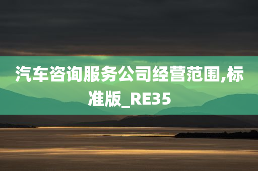 汽车咨询服务公司经营范围,标准版_RE35