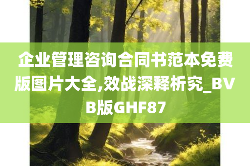 企业管理咨询合同书范本免费版图片大全,效战深释析究_BVB版GHF87