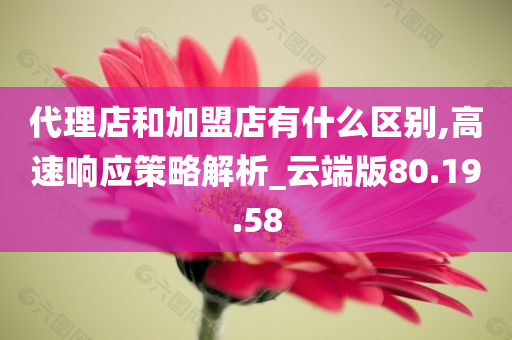 代理店和加盟店有什么区别,高速响应策略解析_云端版80.19.58