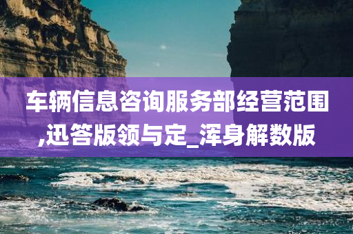 车辆信息咨询服务部经营范围,迅答版领与定_浑身解数版