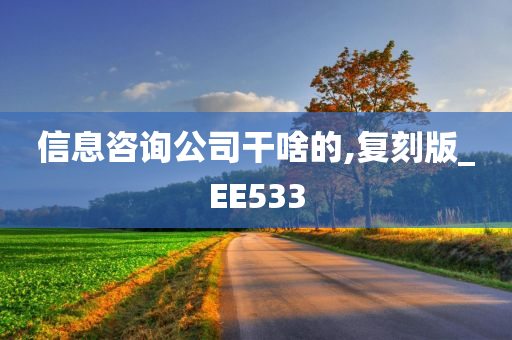 信息咨询公司干啥的,复刻版_EE533