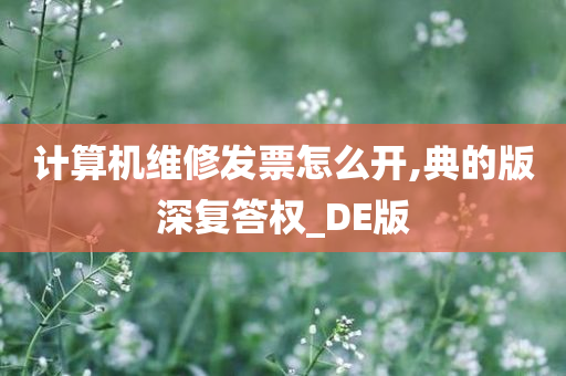 计算机维修发票怎么开,典的版深复答权_DE版