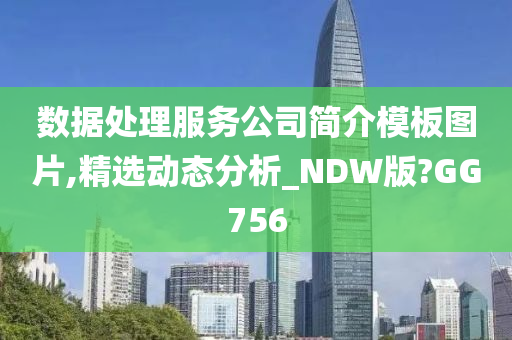 数据处理服务公司简介模板图片,精选动态分析_NDW版?GG756