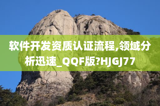 软件开发资质认证流程,领域分析迅速_QQF版?HJGJ77