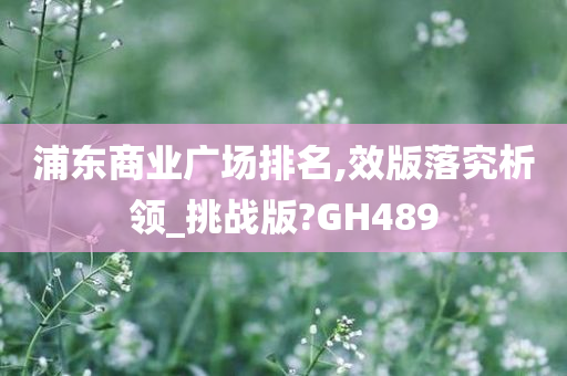 浦东商业广场排名,效版落究析领_挑战版?GH489