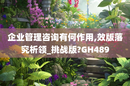 企业管理咨询有何作用,效版落究析领_挑战版?GH489